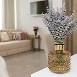 Pensión Luxury Saint Jacob 4*