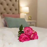 Luxury Saint Jacob Trogir